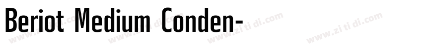 Beriot Medium Conden字体转换